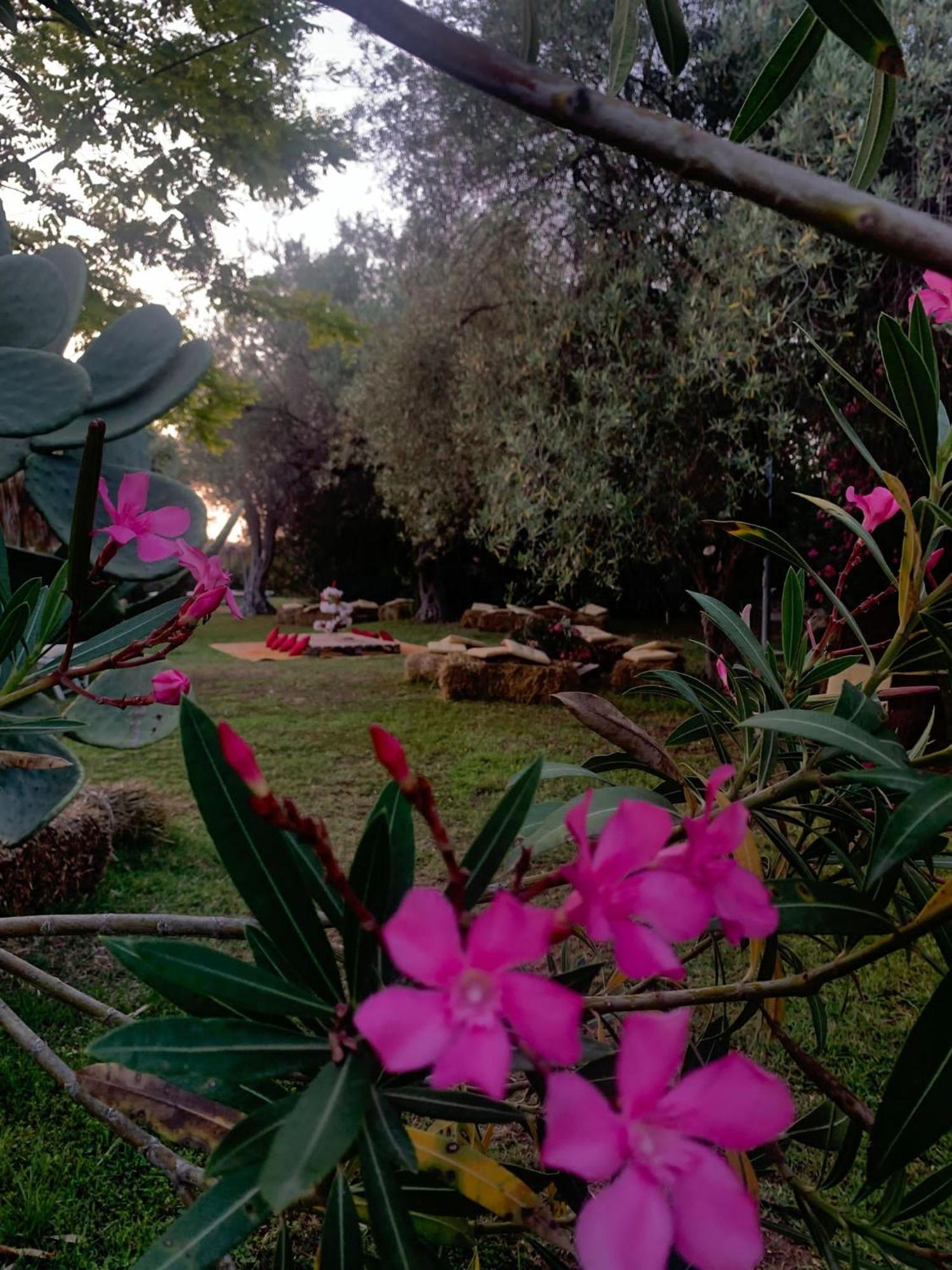 Valle Di Mare Country Resort Fontane Bianche Εξωτερικό φωτογραφία