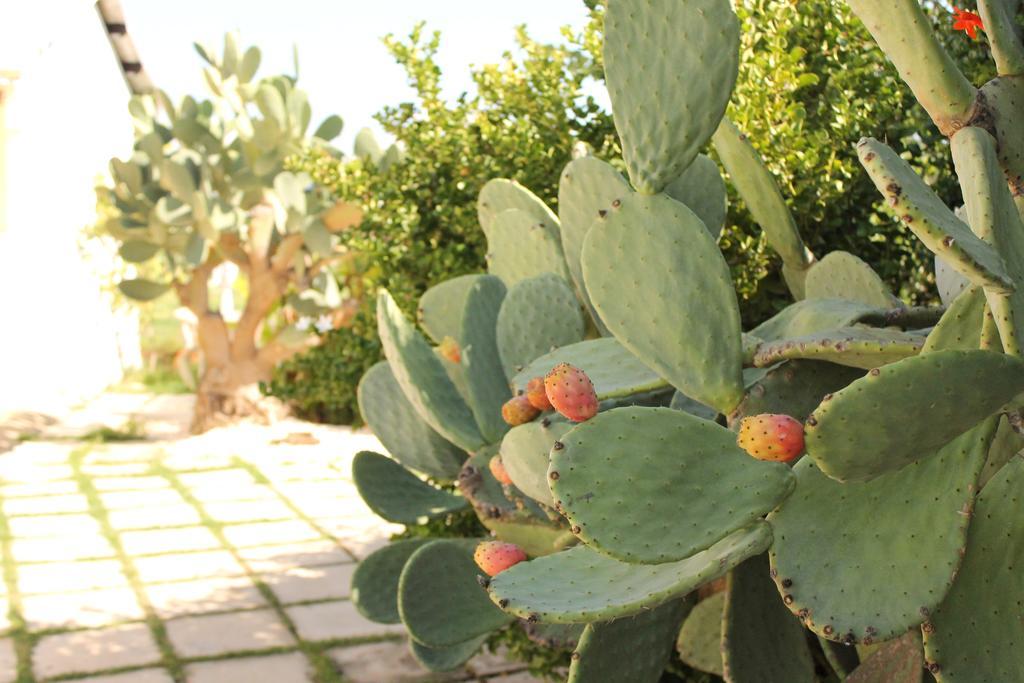 Valle Di Mare Country Resort Fontane Bianche Εξωτερικό φωτογραφία