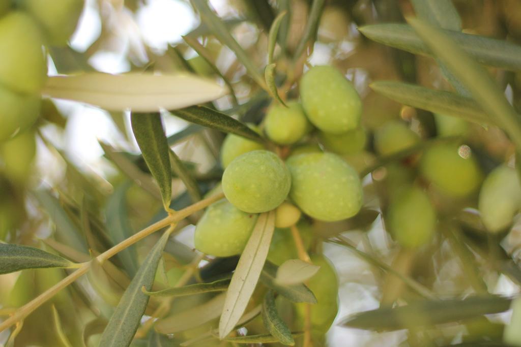 Valle Di Mare Country Resort Fontane Bianche Εξωτερικό φωτογραφία