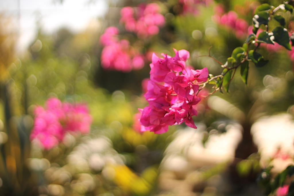 Valle Di Mare Country Resort Fontane Bianche Εξωτερικό φωτογραφία